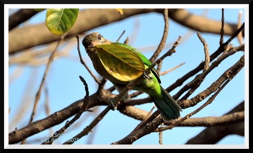  ಮಹಾಕವಿಯ ಚೇತನಕ್ಕೊಂದು ಮಂತ್ರ! – ಕುಟುರ