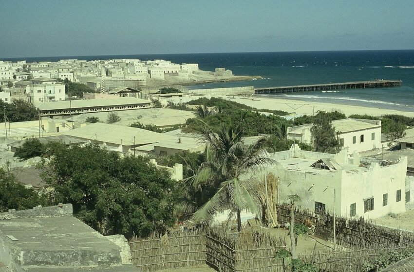  ಕೆಲಸಕ್ಕಾಗಿ ಕಗ್ಗತ್ತಲೆಯ ಖಂಡದತ್ತ-7