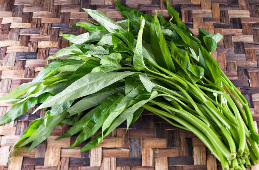  ಅನ್ನೆ ಸೊಪ್ಪು – Water Spinach
