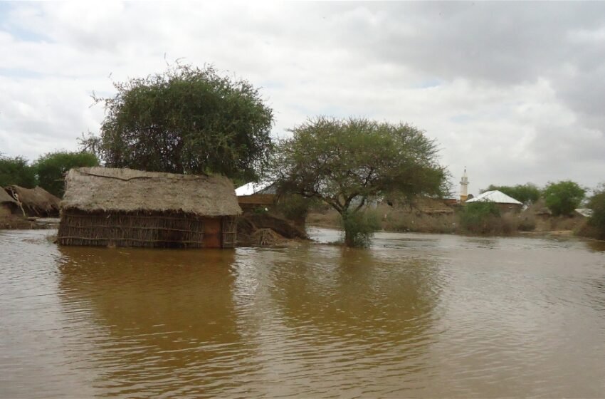  ಕೆಲಸಕ್ಕಾಗಿ ಕಗ್ಗತ್ತಲೆಯ ಖಂಡದತ್ತ-6