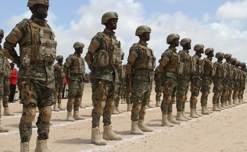  ಕೆಲಸಕ್ಕಾಗಿ ಕಗ್ಗತ್ತಲೆಯ ಖಂಡದತ್ತ-೧೨