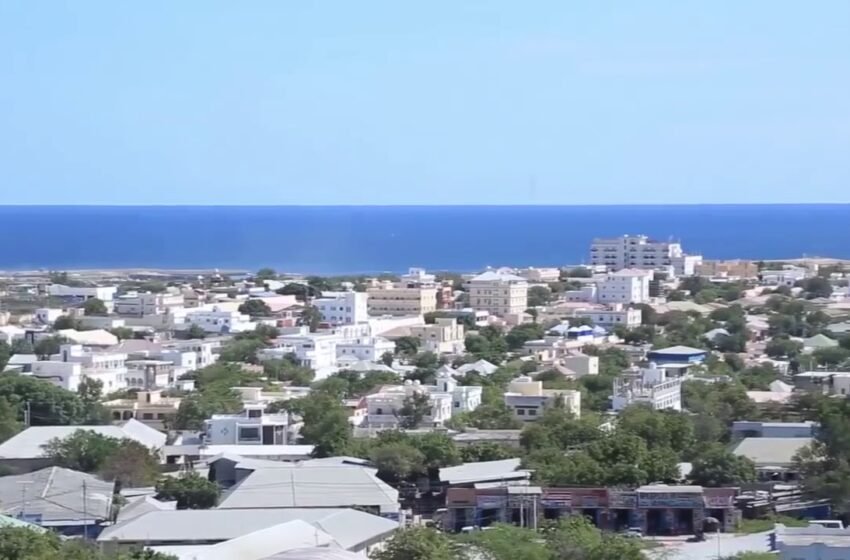  ಕೆಲಸಕ್ಕಾಗಿ ಕಗ್ಗತ್ತಲೆಯ ಖಂಡದತ್ತ – ೨೦