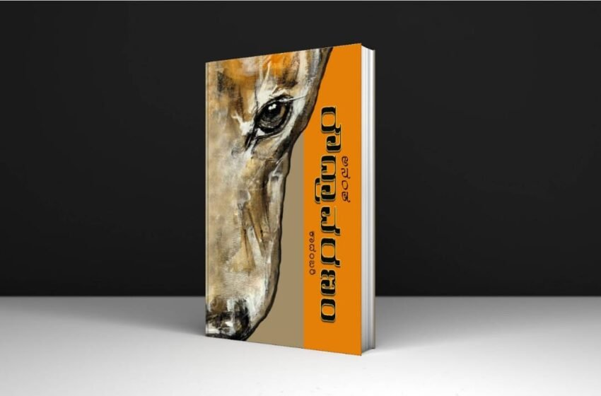  ರೌದ್ರಾವರಣಂ – ಕಾದಂಬರಿ ಬಿಡುಗಡೆ