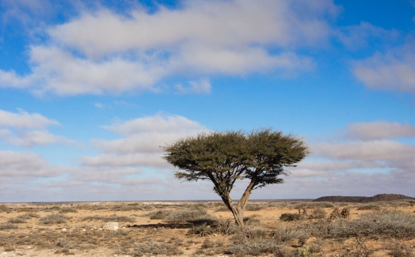  ಕೆಲಸಕ್ಕಾಗಿ ಕಗ್ಗತ್ತಲೆಯ ಖಂಡದತ್ತ – ೨೩