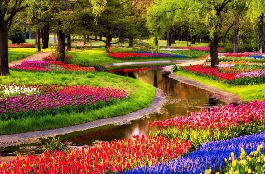  ಪುಷ್ಪ ದೃಶ್ಯ ಕಾವ್ಯ- ಕ್ಯುಕೆನ್ಹಾಫ್