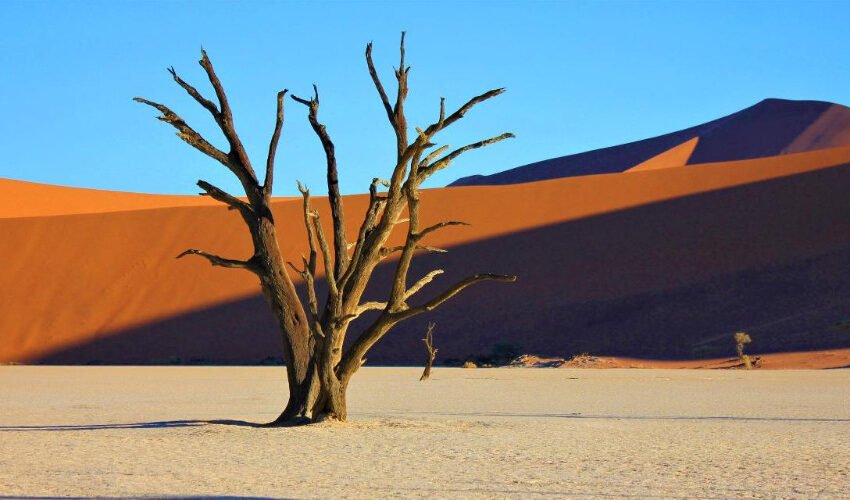  ಕೆಲಸಕ್ಕಾಗಿ ಕಗ್ಗತ್ತಲೆಯ ಖಂಡದತ್ತ- ೨೮