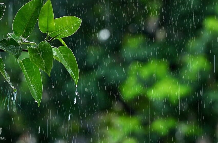  ಮೋಡ ಕಲಿಸಿದ ಪಾಠ