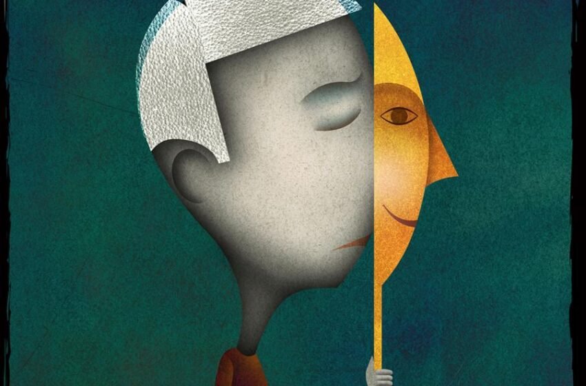  ಸುಳ್ಳಿನ ಸೋಗು