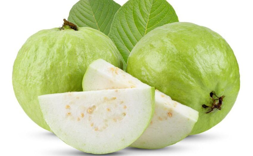  ಪೇರಲ ಹಣ್ಣು ಮತ್ತು ಮರ