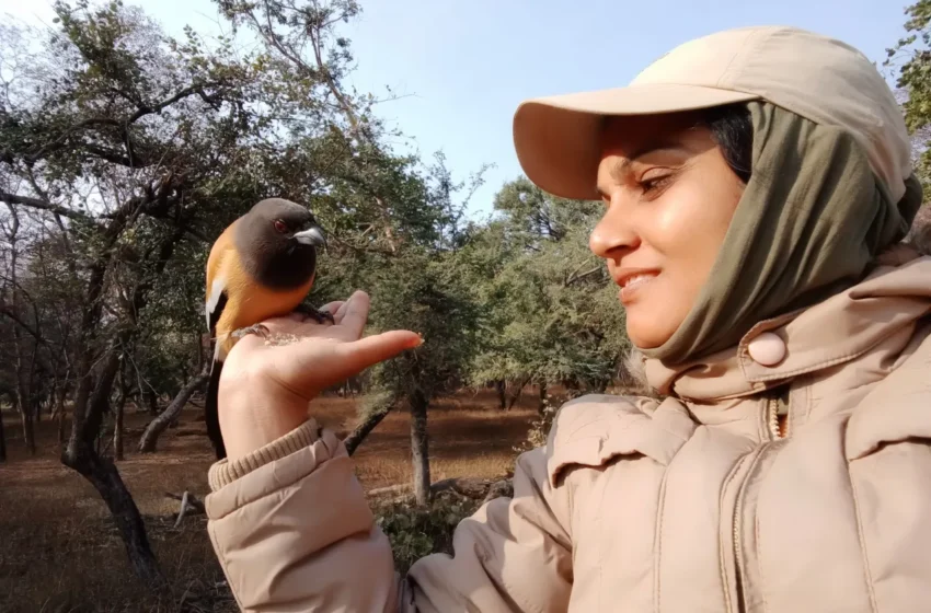  ಮಹಿಳೆಯರಿಗೆ ಸ್ಪೂರ್ತಿ ಈ ವನ್ಯಮಾರ್ಗದರ್ಶಿ – ಸೂರಜ್ ಬಾಯ್ ಮೀನಾ