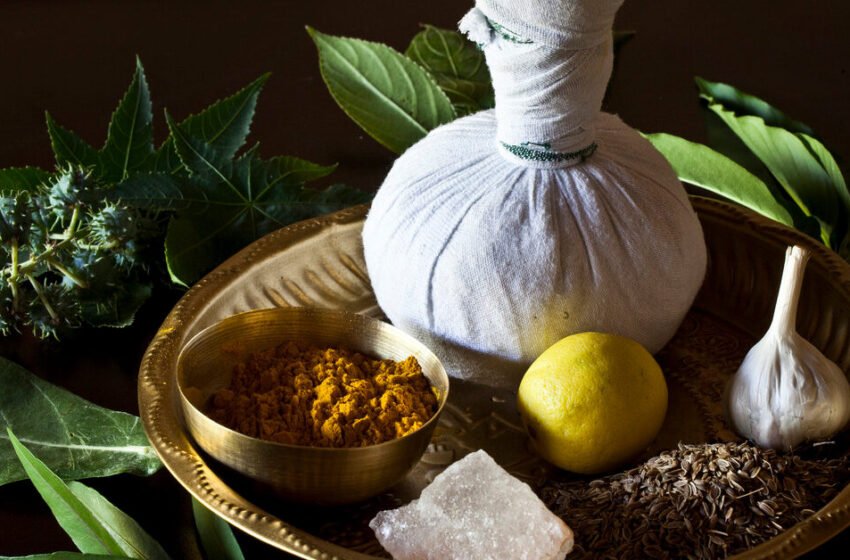  ಆಯುರ್ವೇದಿಯ ಔಷದಿಗಳೆಷ್ಟು ಸುರಕ್ಷಿತ ?