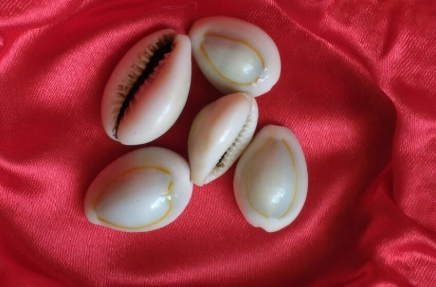  ಕವಡೆಯಲ್ಲಿ ಕೈಕಾಯಿಸುವ ಆಟ -ಗಚ್ಚಿ ಆಟ