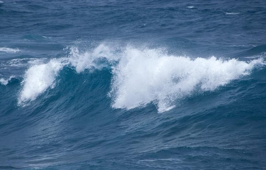 ತಾಳ್ಮೆಯ ಭಾವದಲೆಯಲಿ..