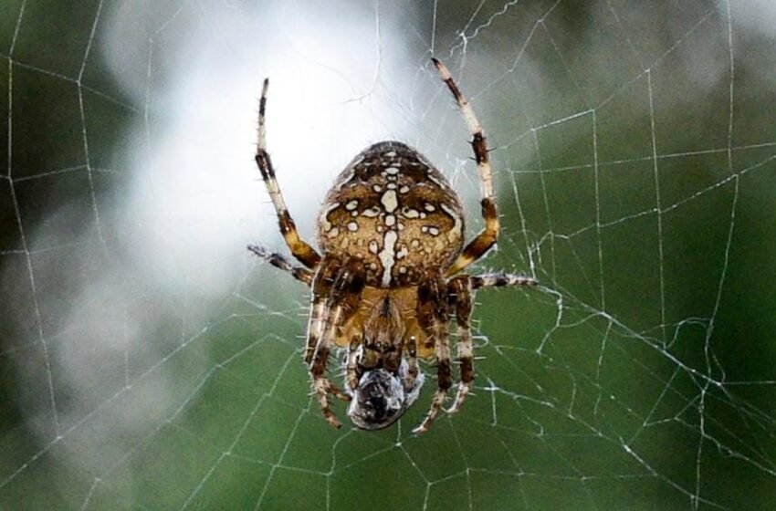  ಸೋಲೇ ಗೆಲುವಿನ ಸೋಪಾನ ಮರೆಯದಿರಿ