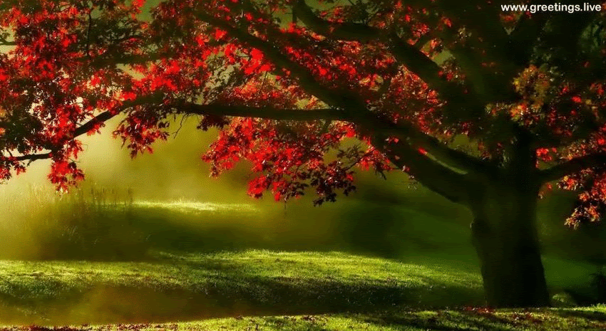  ಯುಗದ ಹೊಸ ಹಾದಿ ಯುಗಾದಿ