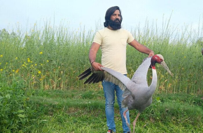  ಆರಿಫ್ ನ ಕ್ರೌಂಚ ಪಕ್ಷಿ ಪ್ರೇಮ