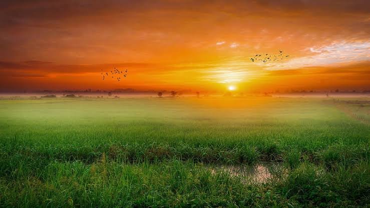  ಮುಸ್ಸಂಜೆಯ ಸೊಬಗಲಿ..