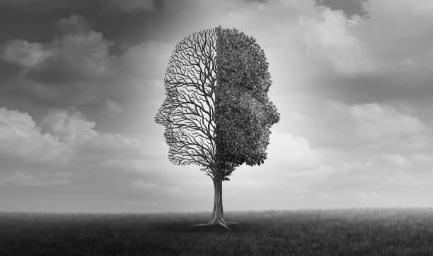  ಆಶ್ರಯದಾತ