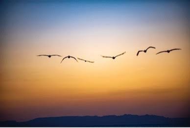  ಇಳಿಸಂಜೆಯಲ್ಲೊಂದು ಬೇಡಿಕೆ